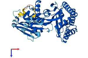AlphaFold protein structure predicition of Human Recombinant MVK Protein, UniprotID Q03426