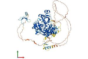 AlphaFold protein structure predicition of Human Recombinant L3MBTL3 Protein, UniprotID Q96JM7