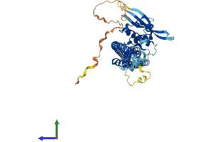 AlphaFold protein structure predicition of Mouse Recombinant Snx4 Protein, UniprotID Q91YJ2