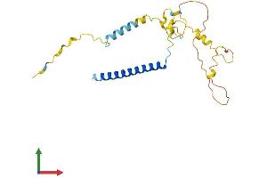 AlphaFold protein structure predicition of Human Recombinant MBD3L4 Protein, UniprotID A6NDZ8