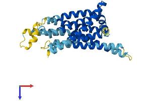 AlphaFold protein structure predicition of Human Recombinant TAS2R7 Protein, UniprotID Q9NYW3