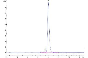 The purity of Cynomolgus TYRO3 is greater than 95 % as determined by SEC-HPLC. (TYRO3 Protein (AA 41-427) (His tag))