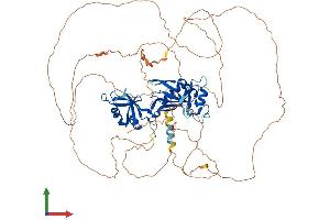 AlphaFold protein structure predicition of Human Recombinant CPEB4 Protein, UniprotID Q17RY0