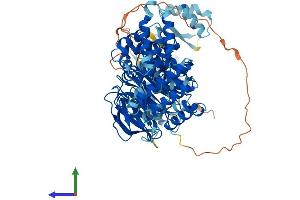AlphaFold protein structure predicition of Human Recombinant PLAA Protein, UniprotID Q9Y263
