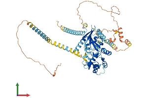 AlphaFold protein structure predicition of Mouse Recombinant Gnl3l Protein, UniprotID Q6PGG6