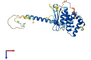 AlphaFold protein structure predicition of Mouse Recombinant Aimp2 Protein, UniprotID Q8R010