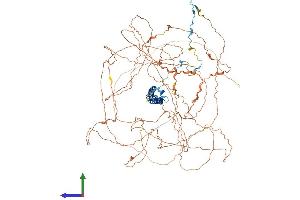 AlphaFold protein structure predicition of Mouse Recombinant Sap130 Protein, UniprotID Q8BIH0