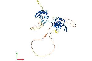 AlphaFold protein structure predicition of Mouse Recombinant Pard6a Protein, UniprotID Q9Z101