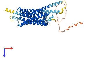 AlphaFold protein structure predicition of Mouse Recombinant Htr4 Protein, UniprotID P97288