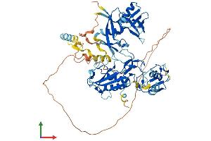 AlphaFold protein structure predicition of Human Recombinant DTX4 Protein, UniprotID Q9Y2E6
