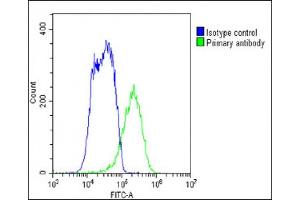 Overlay histogram showing HepG2 cells stained with B(green line).