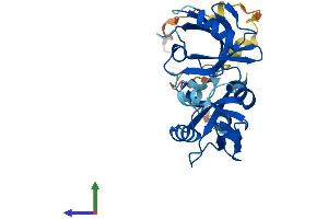 AlphaFold protein structure predicition of Human Recombinant SDCBP2 Protein, UniprotID Q9H190