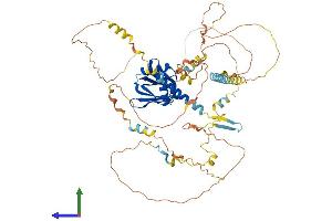 AlphaFold protein structure predicition of Human Recombinant NUMBL Protein, UniprotID Q9Y6R0
