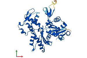 AlphaFold protein structure predicition of Human Recombinant ACTRT3 Protein, UniprotID Q9BYD9