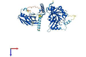 AlphaFold protein structure predicition of Mouse Recombinant B4galnt1 Protein, UniprotID Q09200