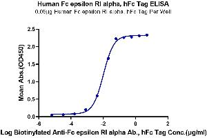Immobilized Human Fc epsilon RI alpha, hFc Tag at 0.
