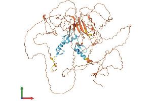 AlphaFold protein structure predicition of Mouse Recombinant Sp3 Protein, UniprotID O70494