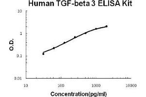 Human TGF-beta 3 PicoKine ELISA Kit standard curve (TGFB3 Kit ELISA)