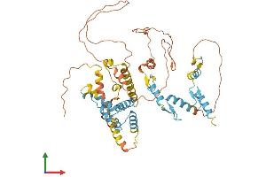 AlphaFold protein structure predicition of Human Recombinant ZNF215 Protein, UniprotID Q9UL58