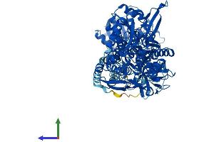AlphaFold protein structure predicition of Human Recombinant ALDH1L1 Protein, UniprotID O75891
