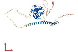AlphaFold protein structure predicition of Human Recombinant MAPRE2 Protein, UniprotID Q15555