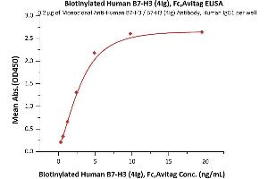 Immobilized Monoclonal A B7-H3 / B7-H3 (4Ig) Antibody, Human IgG1 at 2 μg/mL (100 μL/well) can bind Biotinylated Human B7-H3 (4Ig), Fc,Avitag (ABIN6731234,ABIN6809940) with a linear range of 0.