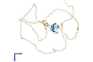 AlphaFold protein structure predicition of Human Recombinant RBMXL1 Protein, UniprotID Q96E39