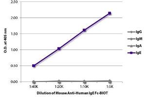 ELISA plate was coated with purified human IgG, IgM, IgA, and IgE.