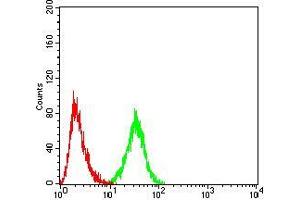 Flow cytometric analysis of Hela cells using SERPINA1 mouse mAb (green) and negative control (red).