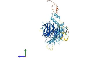 AlphaFold protein structure predicition of Human Recombinant DCAF4 Protein, UniprotID Q8WV16