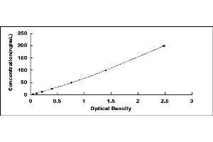 Typical standard curve (RNASE1 Kit ELISA)