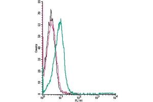 Cell surface detection of TRPV1 by direct flow cytometry in live intact human Jurkat T-Cell leukemia cells: + Rabbit IgG isotype control-FITC.