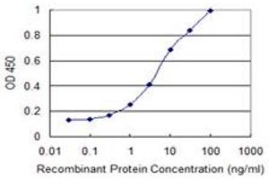 Detection limit for recombinant GST tagged DMRTB1 is 0. (DMRTB1 anticorps  (AA 1-189))
