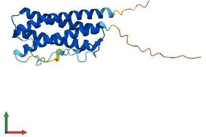AlphaFold protein structure predicition of Human Recombinant CNTF Protein, UniprotID P26441