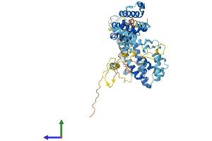 AlphaFold protein structure predicition of Mouse Recombinant Prpf31 Protein, UniprotID Q8CCF0