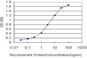 Detection limit for recombinant GST tagged MARCKSL1 is approximately 0. (MARCKSL1 anticorps  (AA 107-195))
