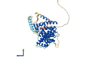 AlphaFold protein structure predicition of Mouse Recombinant Ifrd1 Protein, UniprotID P19182