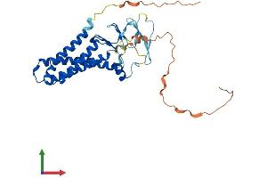 AlphaFold protein structure predicition of Human Recombinant ZDHHC19 Protein, UniprotID Q8WVZ1