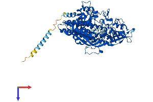 AlphaFold protein structure predicition of Mouse Recombinant Naalad2 Protein, UniprotID Q9CZR2