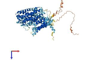 AlphaFold protein structure predicition of Human Recombinant SLC7A4 Protein, UniprotID O43246