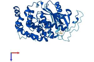 AlphaFold protein structure predicition of Human Recombinant AMZ2 Protein, UniprotID Q86W34