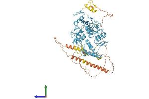 AlphaFold protein structure predicition of Human Recombinant ZNF860 Protein, UniprotID A6NHJ4