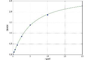 phosphofructokinase, Platelet (PFKP) ELISA Kit