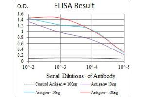 Red: Control Antigen (100ng) ; Purple: Antigen (10ng) ; Green: Antigen (50ng) ; Blue: Antigen (100ng).