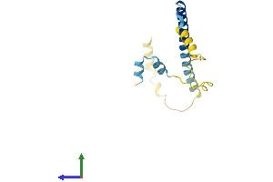 AlphaFold protein structure predicition of Mouse Recombinant Cplx2 Protein, UniprotID P84086