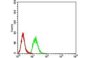 Flow cytometric analysis of Hela cells using ESRRA mouse mAb (green) and negative control (red). (ESRRA anticorps  (AA 198-376))