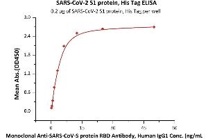 Immobilized SARS-CoV-2 S1 protein, His Tag (ABIN6973257) at 2 μg/mL (100 μL/well) can bind Monoclonal A-CoV-S protein RBD Antibody, Human IgG1 with a linear range of 0.