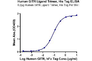Immobilized Human GITR Ligand Trimer, His Tag at 2 μg/mL (100 μL/well) on the plate.