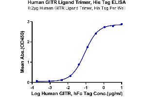 Immobilized Human GITR Ligand Trimer, His Tag at 2 μg/mL (100 μL/well) on the plate. (TNFSF18 Protein (Trimer) (His-DYKDDDDK Tag))
