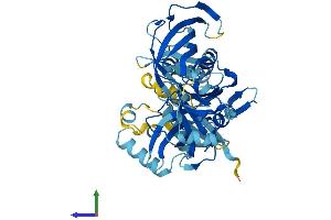 AlphaFold protein structure predicition of Human Recombinant EEF1A1P5 Protein, UniprotID Q5VTE0
